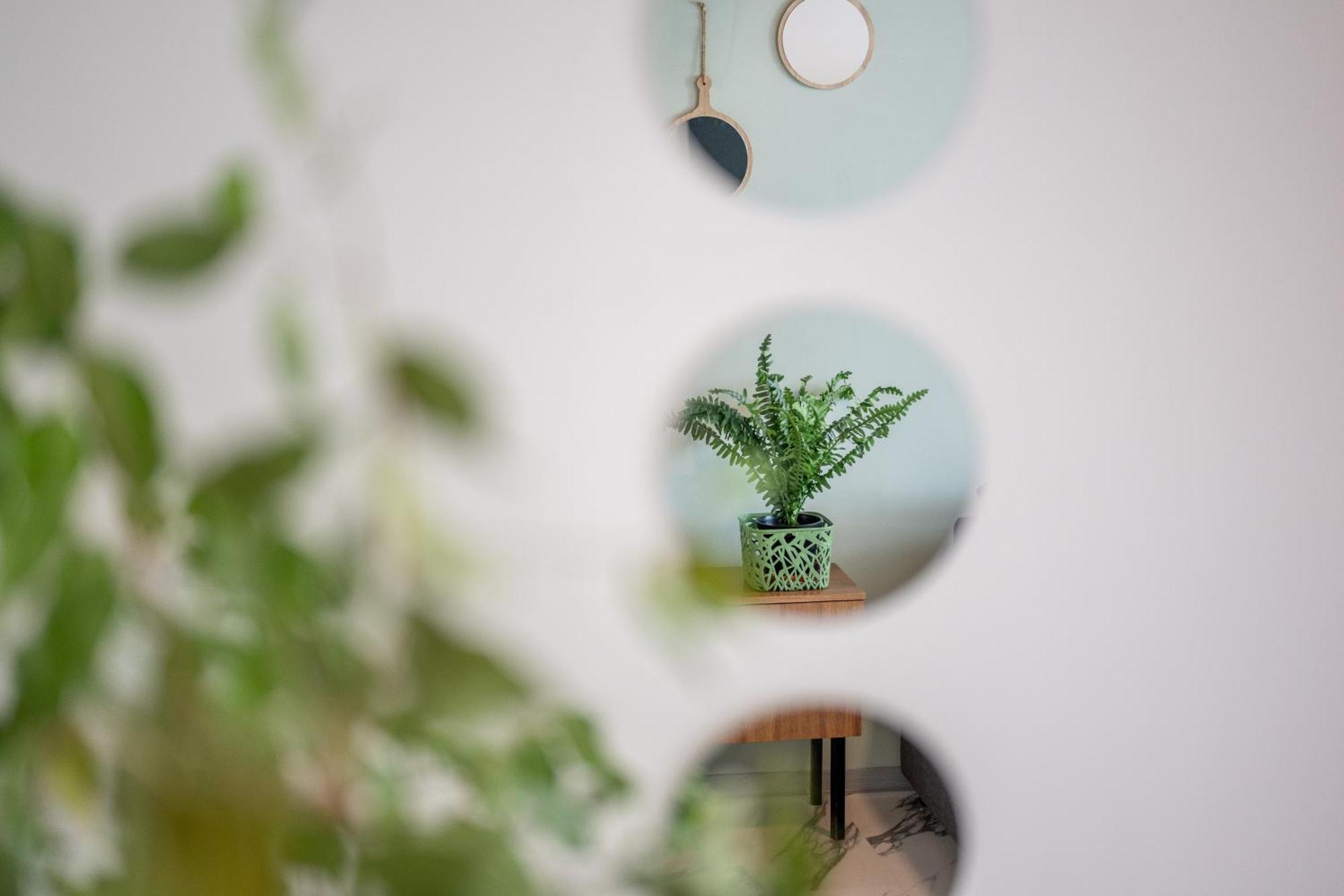 Wohlfuehlwohnung Mit 25 Qm Terrasse, Netflix Koblenc Exteriér fotografie